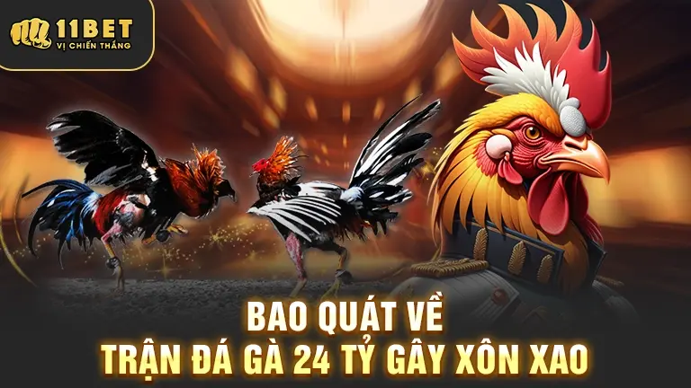 Bao quát trận đá gà 24 tỷ