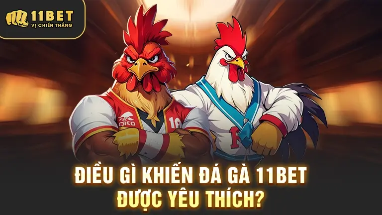 Lý do đá gà 11BET được yêu thích