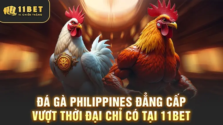 Đá gà Philippines tại 11BET