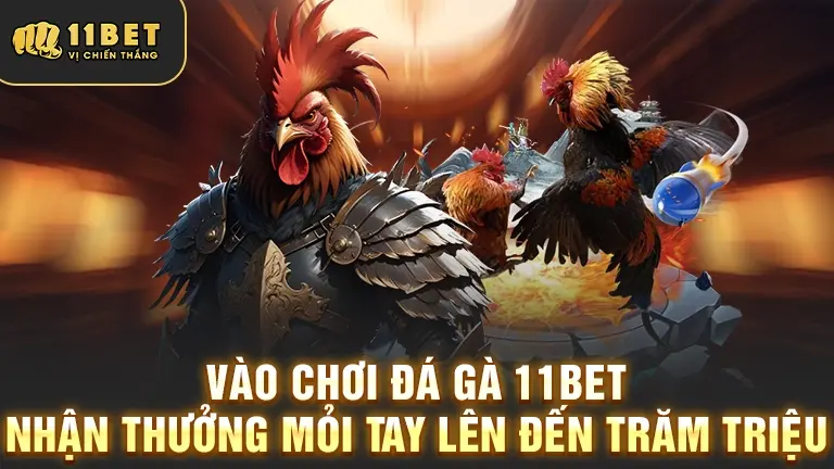 Chơi đá gà 11BET nhận thưởng lớn