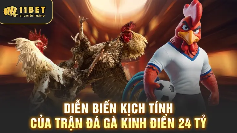Diễn biến trận đá gà 24 tỷ
