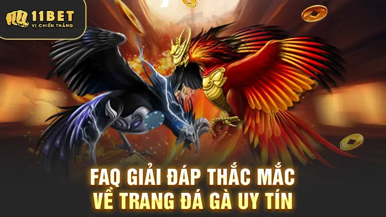 FAQ trang đá gà uy tín
