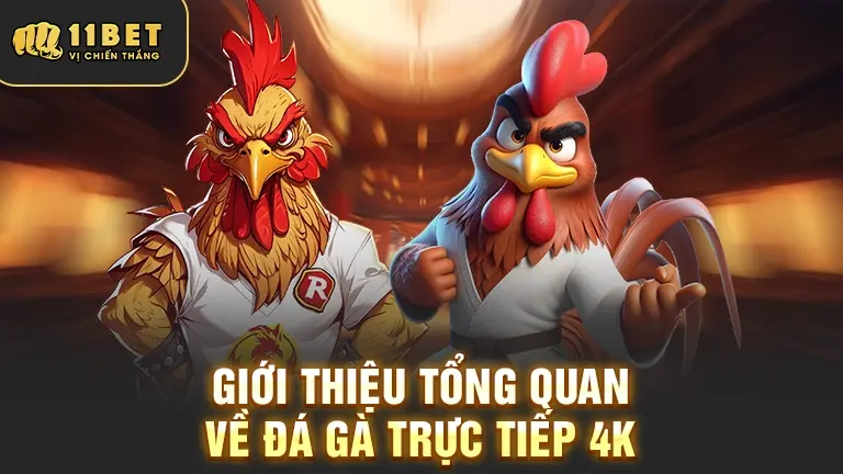 Tổng quan đá gà trực tiếp 4K