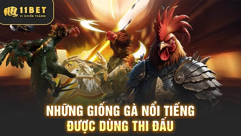 Giống gà đá nổi tiếng