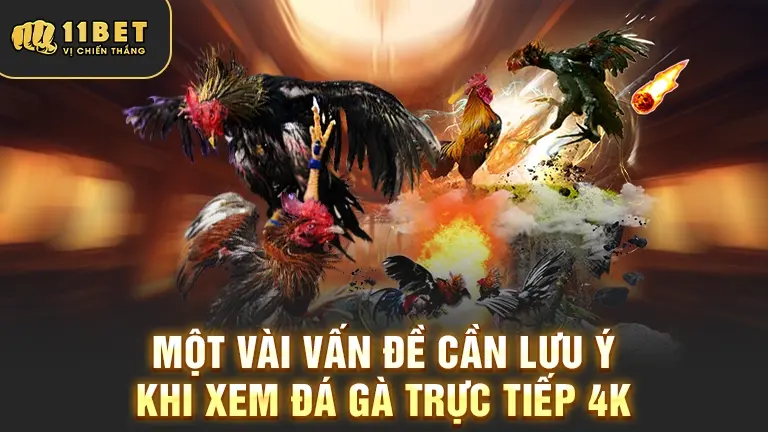 Lưu ý khi xem đá gà 4K