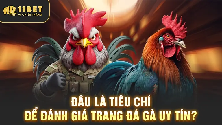Tiêu chí đánh giá trang đá gà uy tín