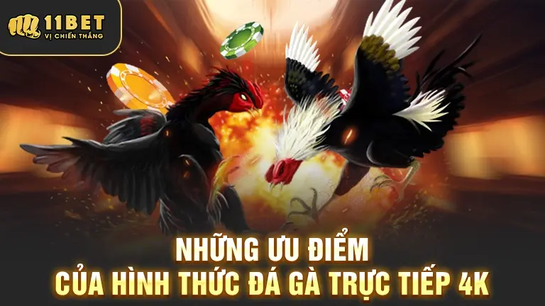 Ưu điểm đá gà 4K