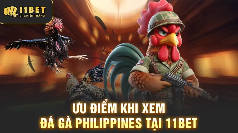 Ưu điểm đá gà Philippines tại 11BET